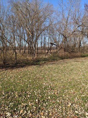 Hills Access Campground