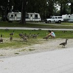 Ottumwa city park