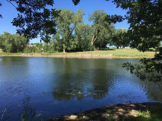 Robinson Park Campground
