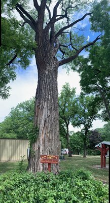 Wolden Recreation Area & Campground photo 2