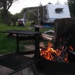 Yellow river state forest