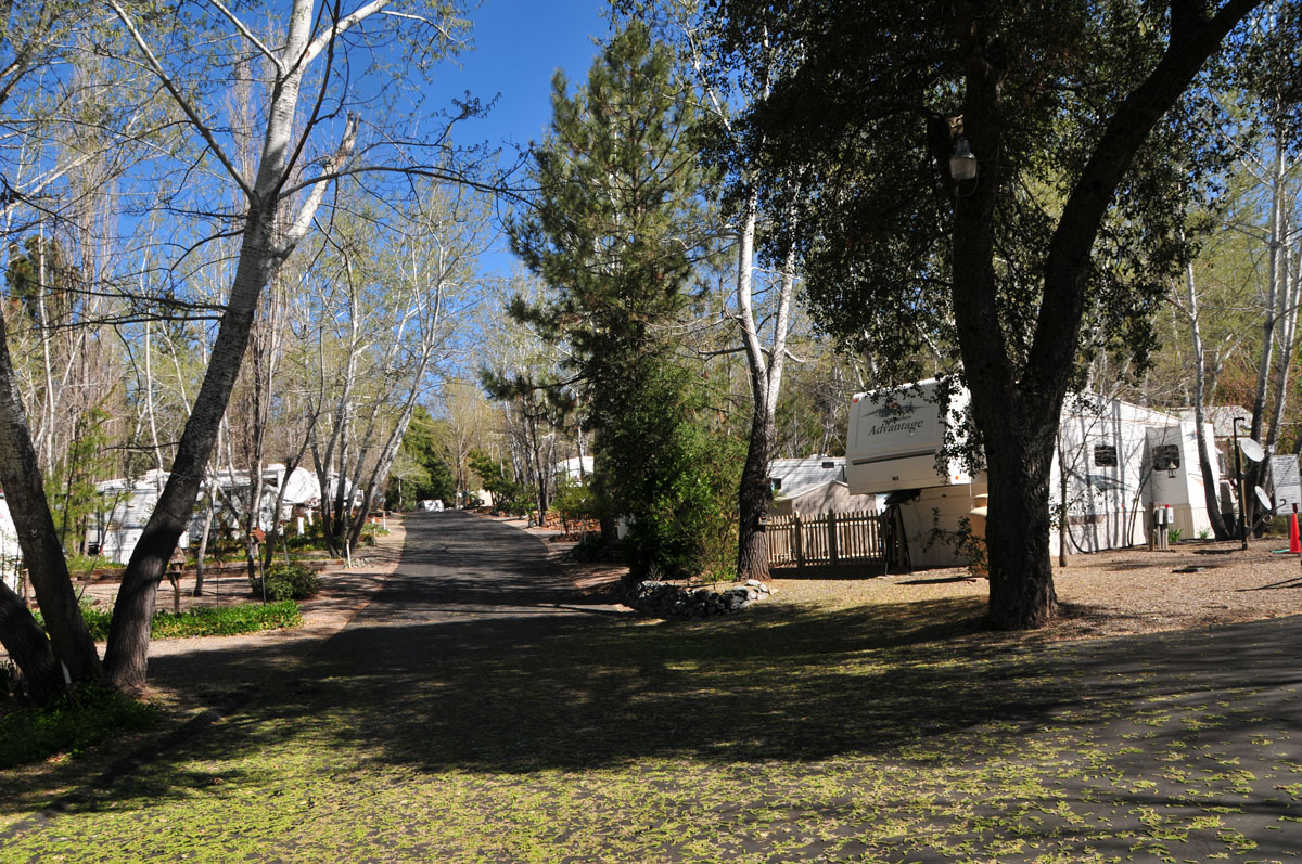 Pinezanita RV Park & Campground - Main photo