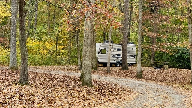 Pine Hills Campground - Main photo