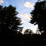 Sugar river forest preserve