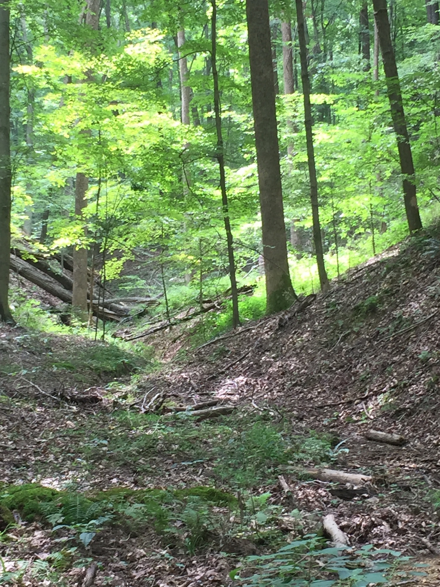 Hardin Ridge Recreation Area Campground Reviews updated 2022