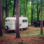 Saddle lake recreation area