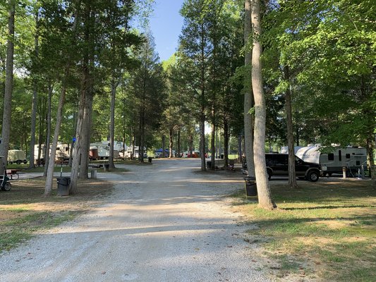 Sycamore Springs Park