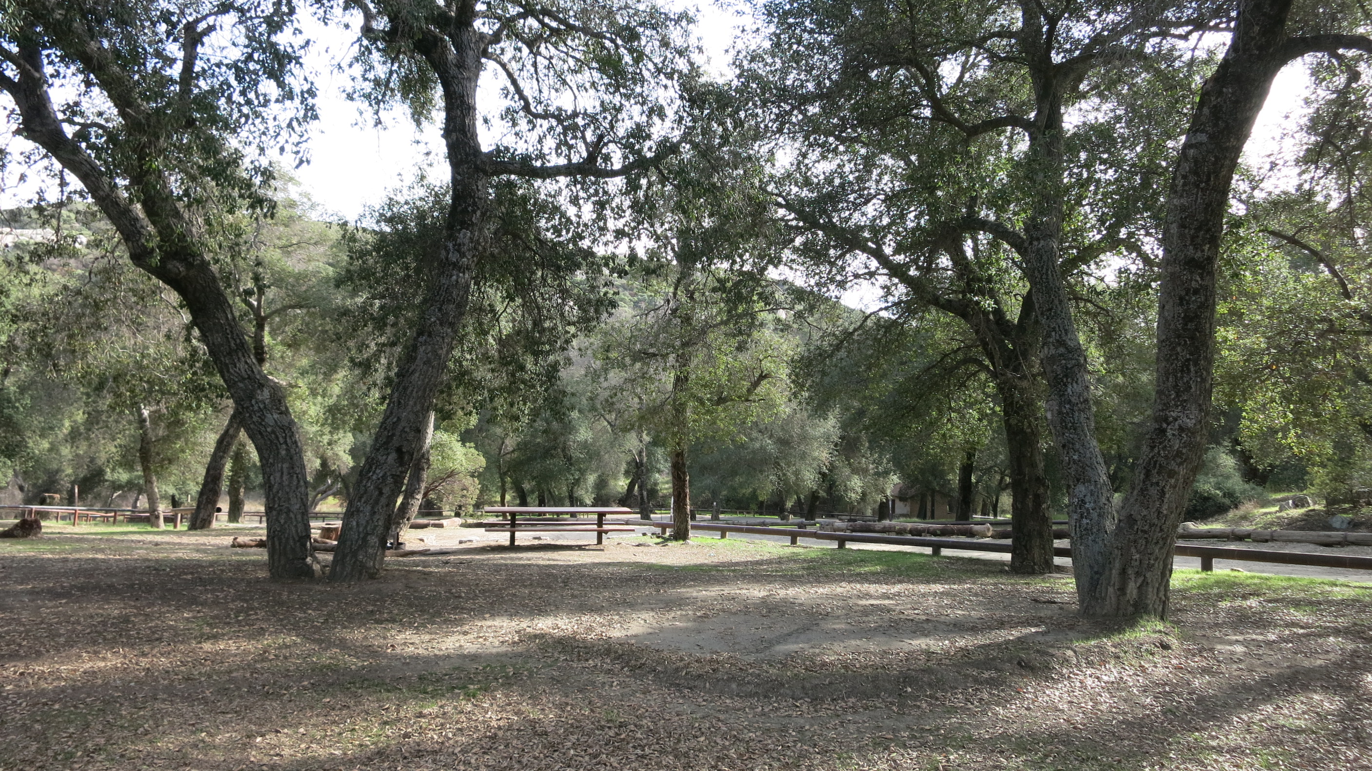 Corral Canyon Campground Reviews updated 2024