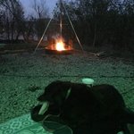 Crappie cove campground hillsdale sp