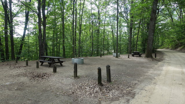 Arbutus Lake State Forest Campground photo 2