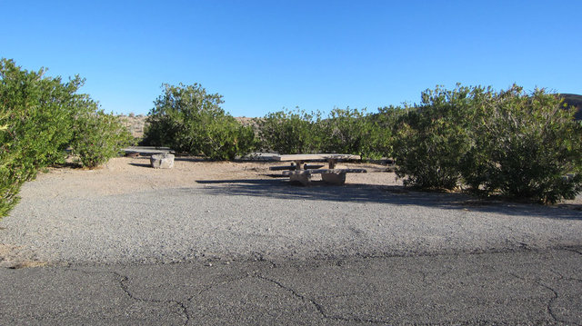 Echo Bay Upper Campground photo 2