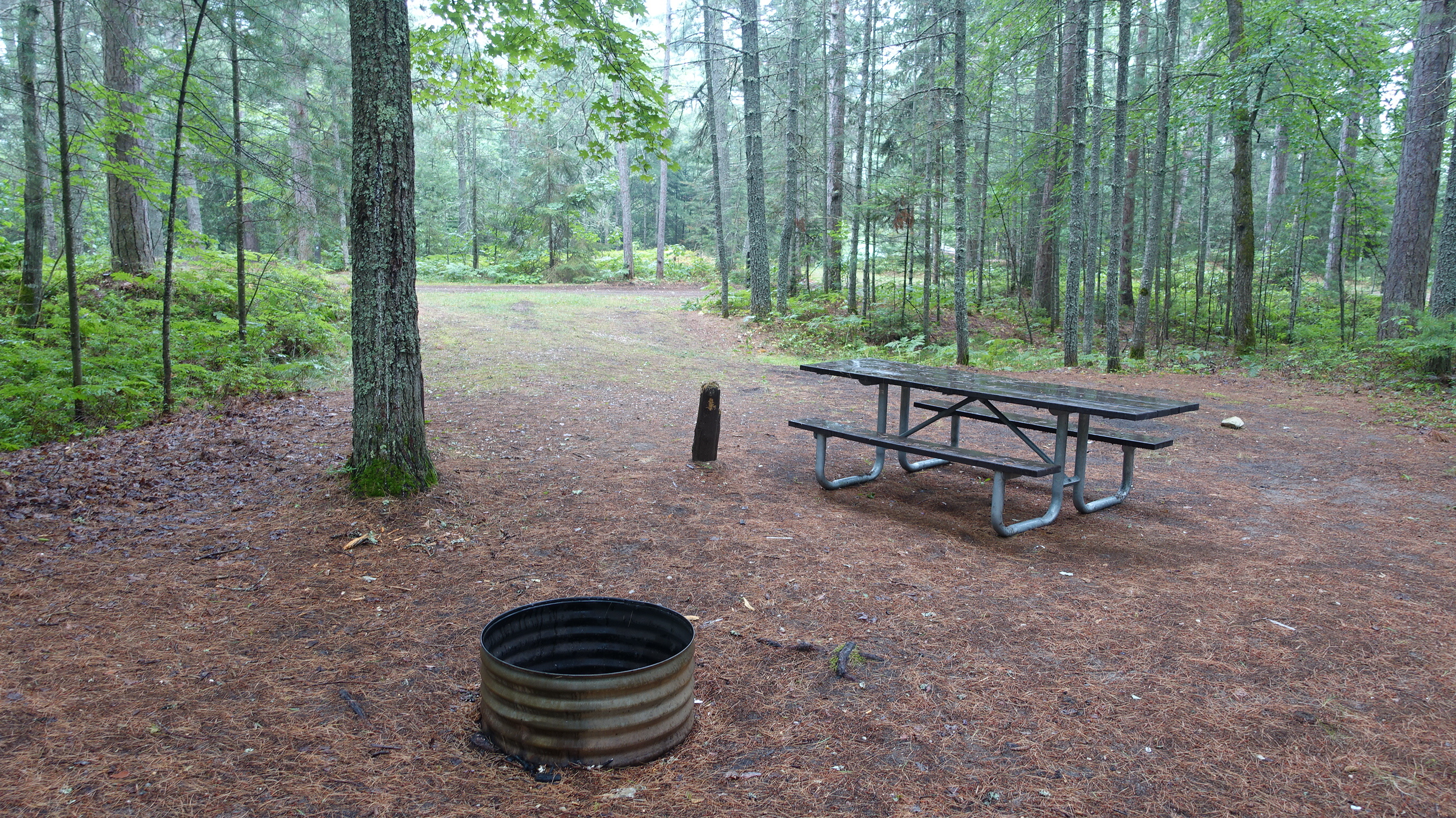 Big Knob State Forest Campground