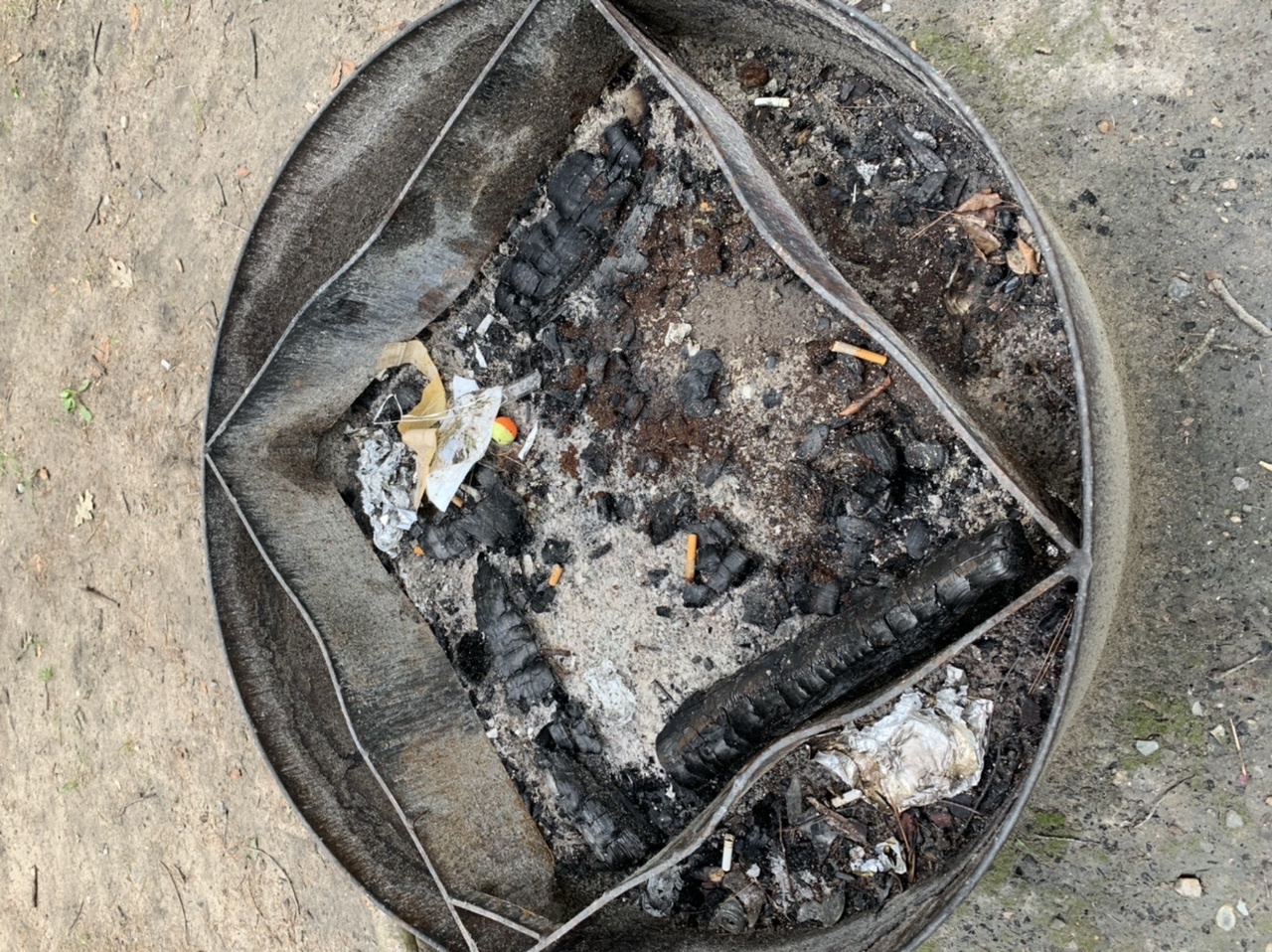 Black Creek State Forest Campground Reviews updated 2024