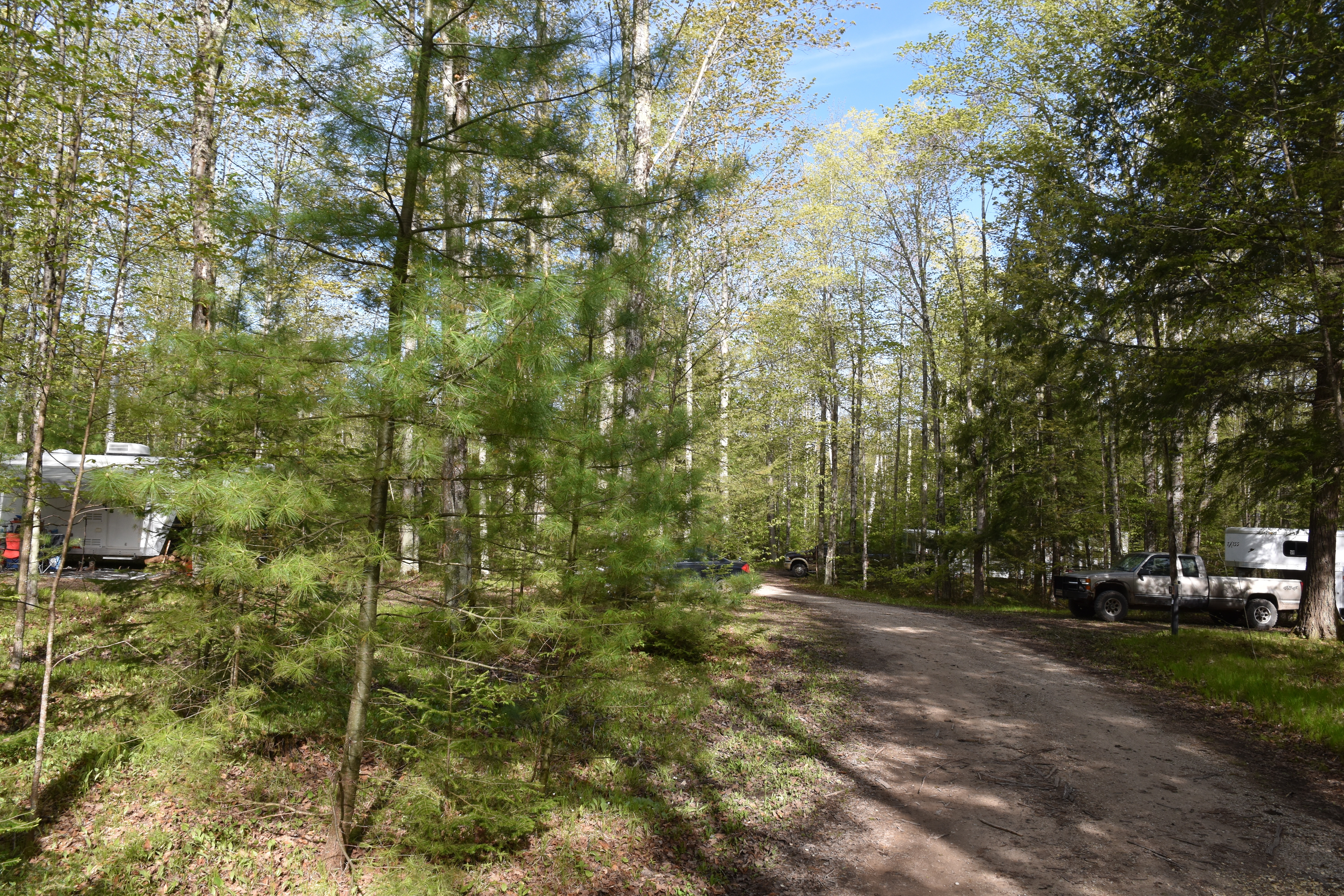 Cedar River North State Forest Campground