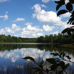 Courtney lake