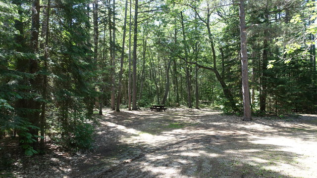 DeTour State Forest Campground photo 2