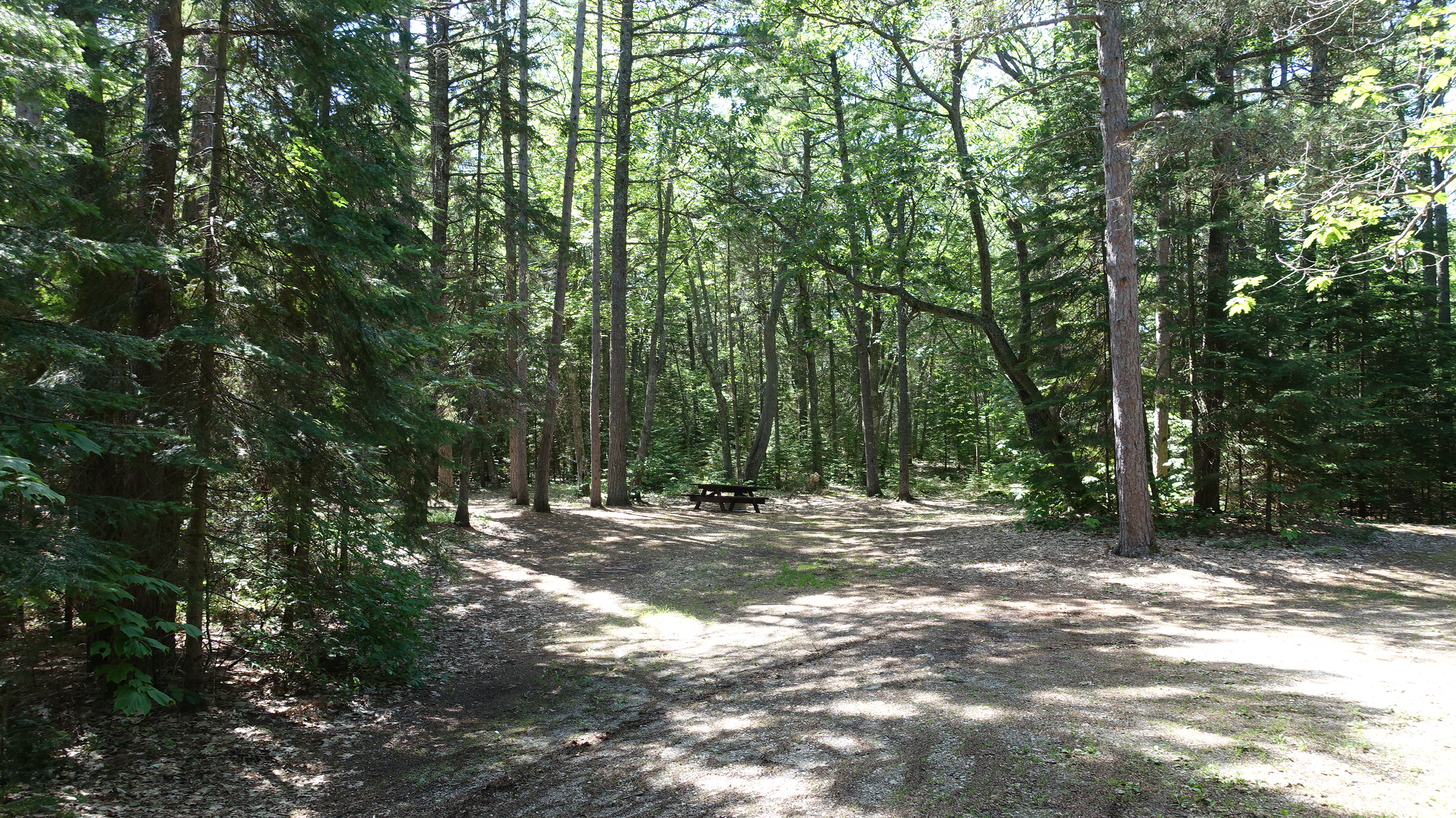 DeTour State Forest Campground