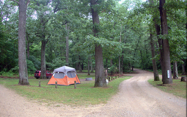 Ely Lake Campground photo 2
