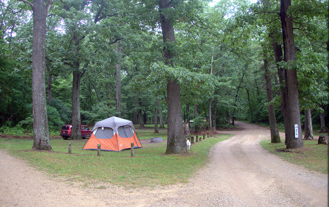 Ely Lake Campground Reviews updated 2024