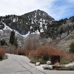 Upper grays meadow campground