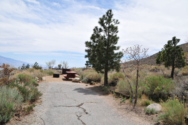 Upper Grays Meadow Campground photo 2