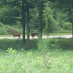 Ionia state recreation area