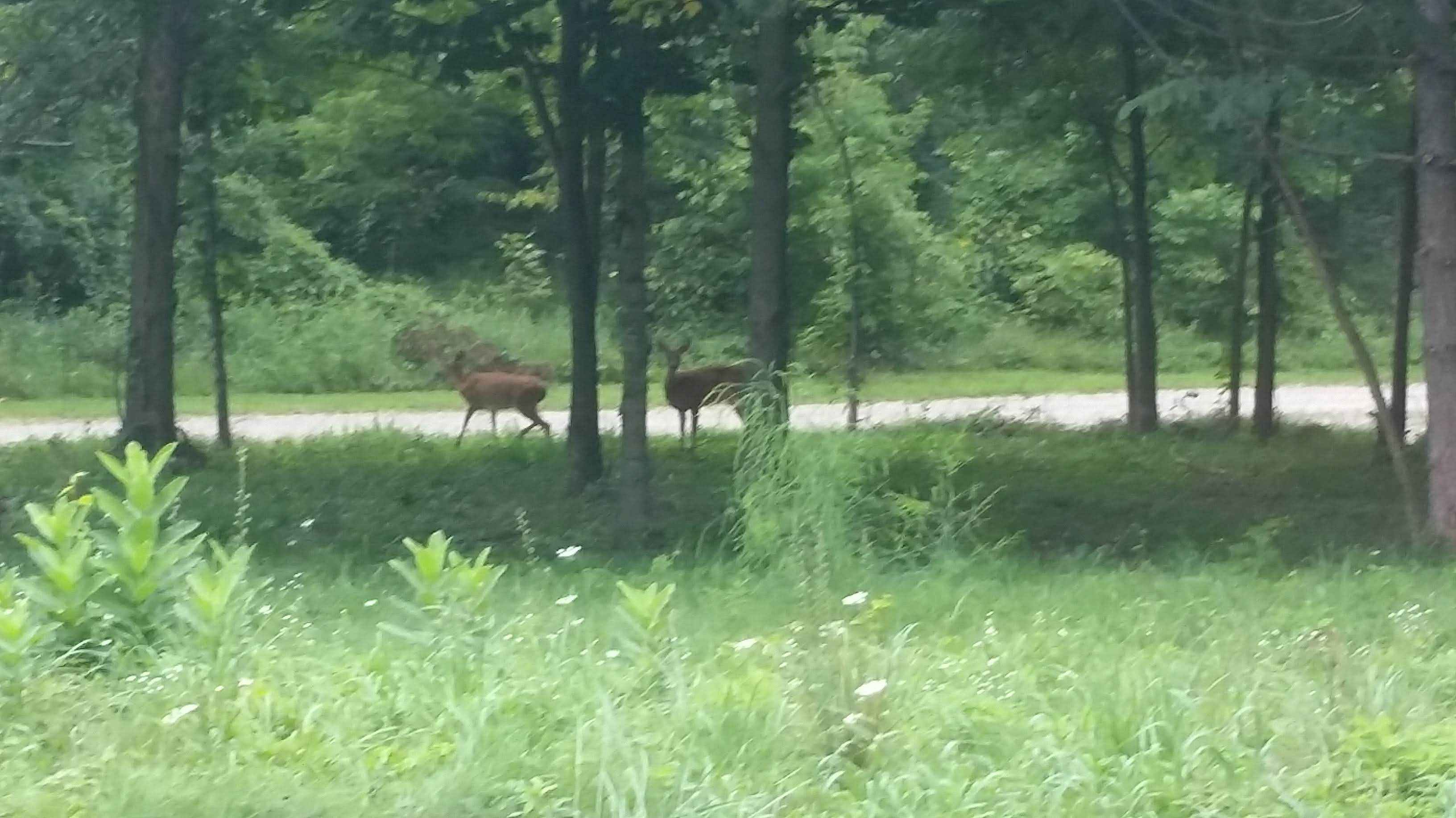 Ionia State Recreation Area - Main photo