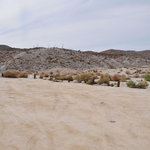 Mountain palm springs camp