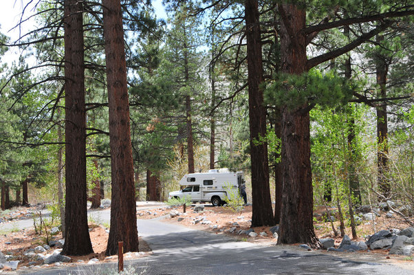 Sage Flat Campground photo 2