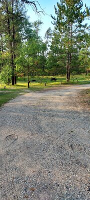 Manistee River Bridge State Forest Campground
