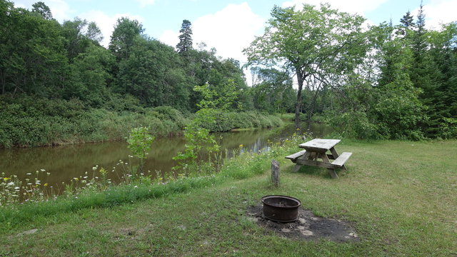 Merwin Creek State Forest Campground photo 2