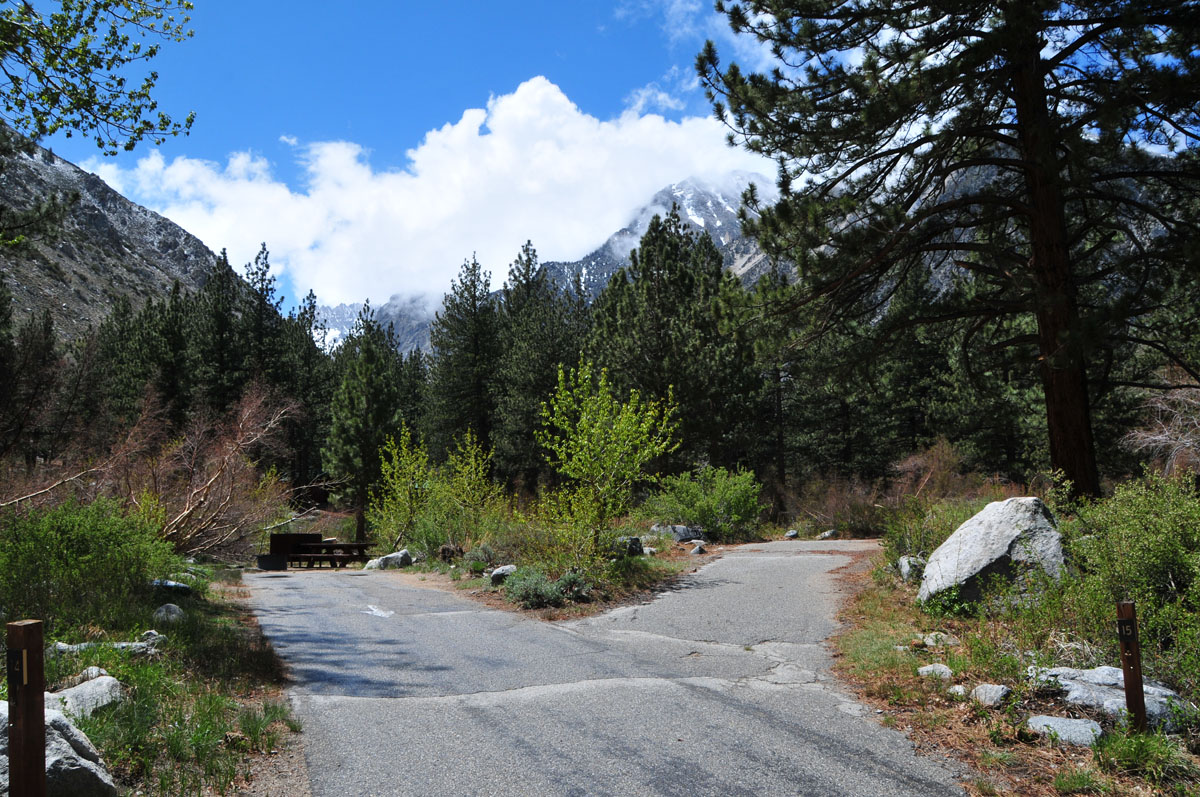 Big Pine Creek Campground Reviews updated 2024