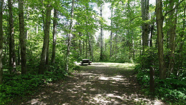 Munuscong River State Forest Campground photo 2