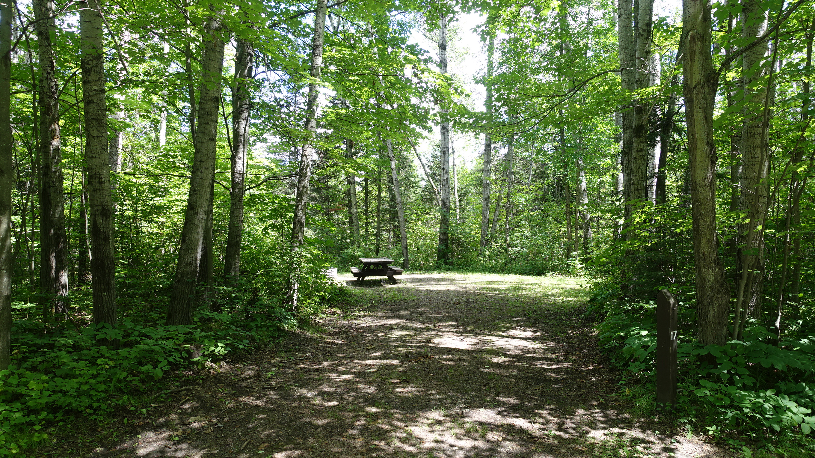 Munuscong River State Forest Campground