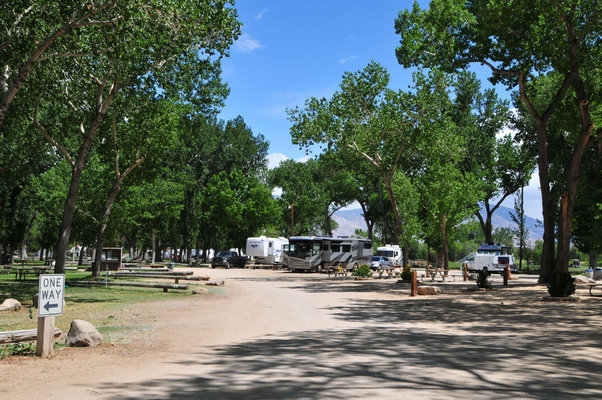 Brown's Town Campground