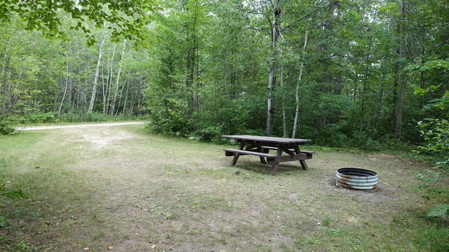 Natalie State Forest Campground photo 2