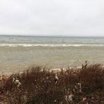 North higgins lake state park