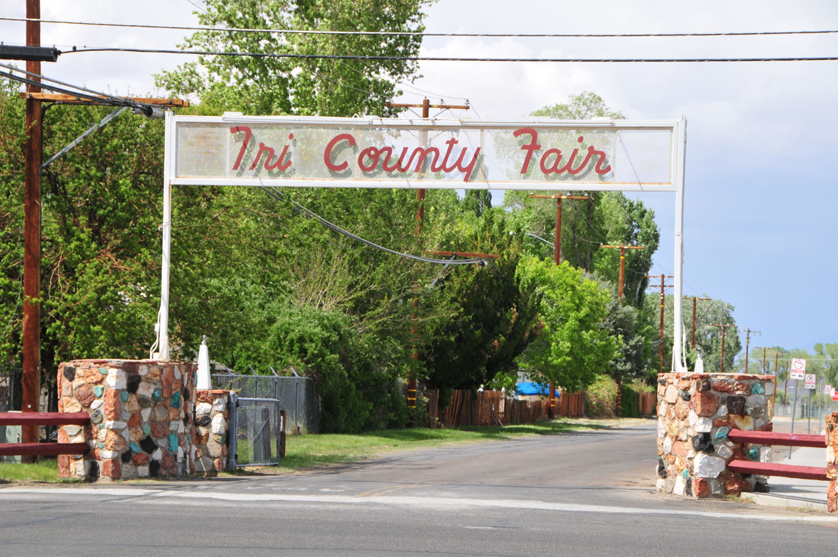 Eastern Sierra Tri County Fair Reviews updated 2025