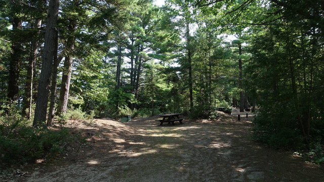 Ossineke State Forest Campground photo 2