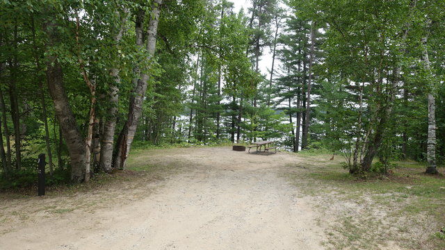 Perch Lake State Forest Campground photo 2