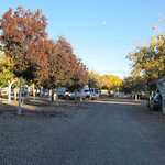 Robbins nest mobile village