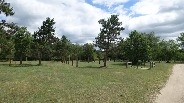 Scheck's Place Trail Camp photo 2