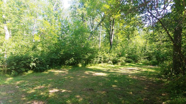 Sturgeon Bend Campground