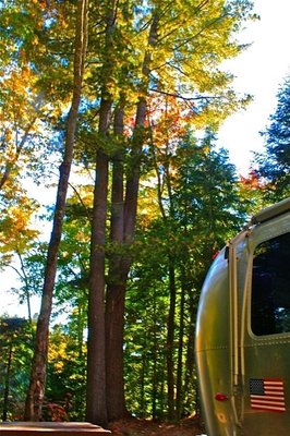 Rivermouth Modern Campground photo 2