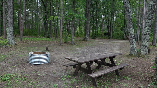 Thunder Bay River State Forest Campground photo 2