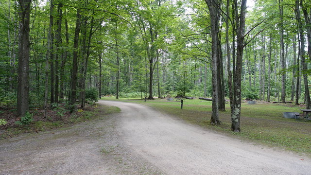 Indian Lake West Campground photo 2