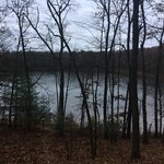 Whelan lake