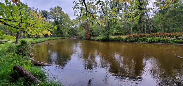 Whelan Lake Campground