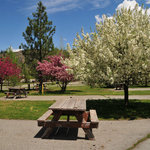 Truckee river rv park