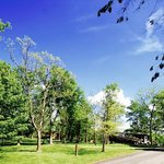 Chester woods park